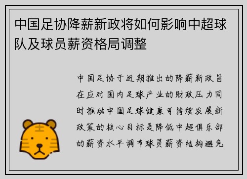 中国足协降薪新政将如何影响中超球队及球员薪资格局调整 中国足协降薪新政将如何影响中超球队及球员薪资格局调整