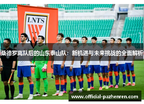 桑德罗离队后的山东泰山队:新机遇与未来挑战的全面解析 桑德罗离队后的山东泰山队:新机遇与未来挑战的全面解析